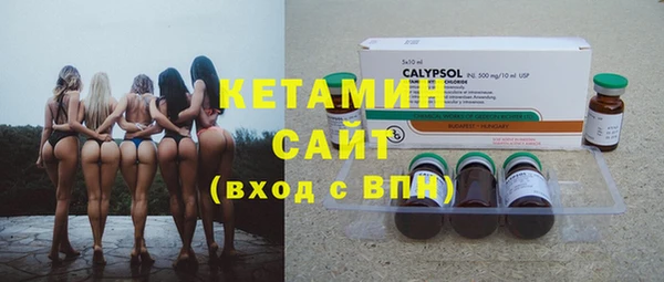шишки Богородицк