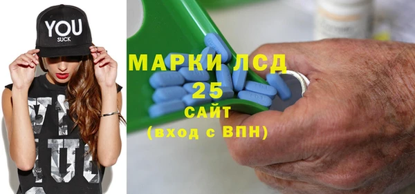 шишки Богородицк