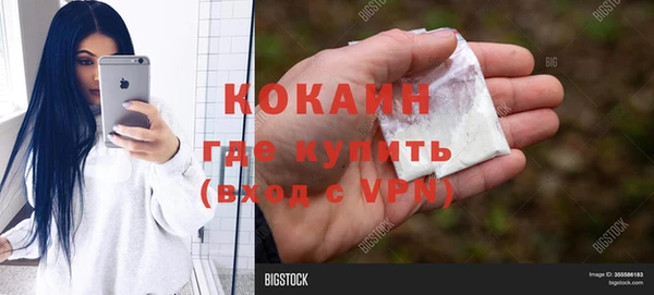 шишки Богородицк