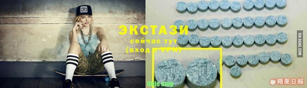 шишки Богородицк