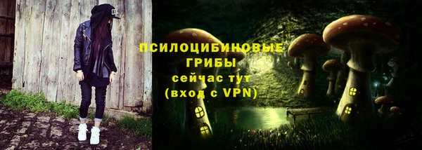 шишки Богородицк