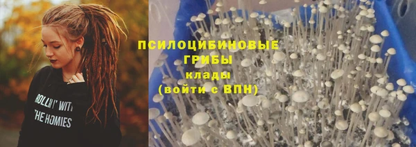 дурь Богородск
