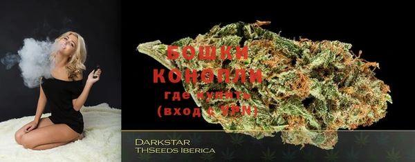 шишки Богородицк