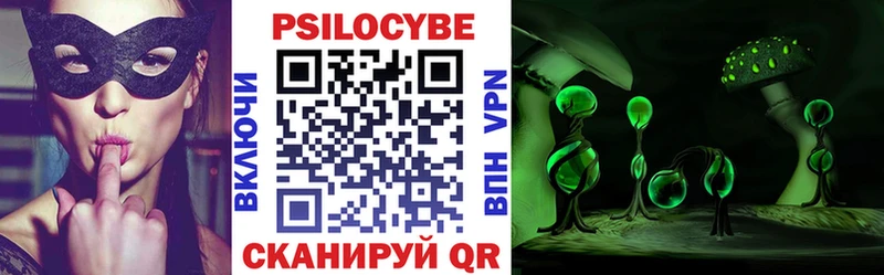 Псилоцибиновые грибы Psilocybe  купить закладку  площадка какой сайт  Пенза 